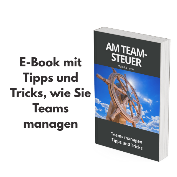 Ebook am Teamsteuer